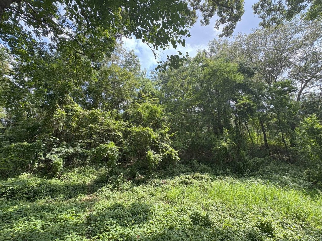 Picture 23