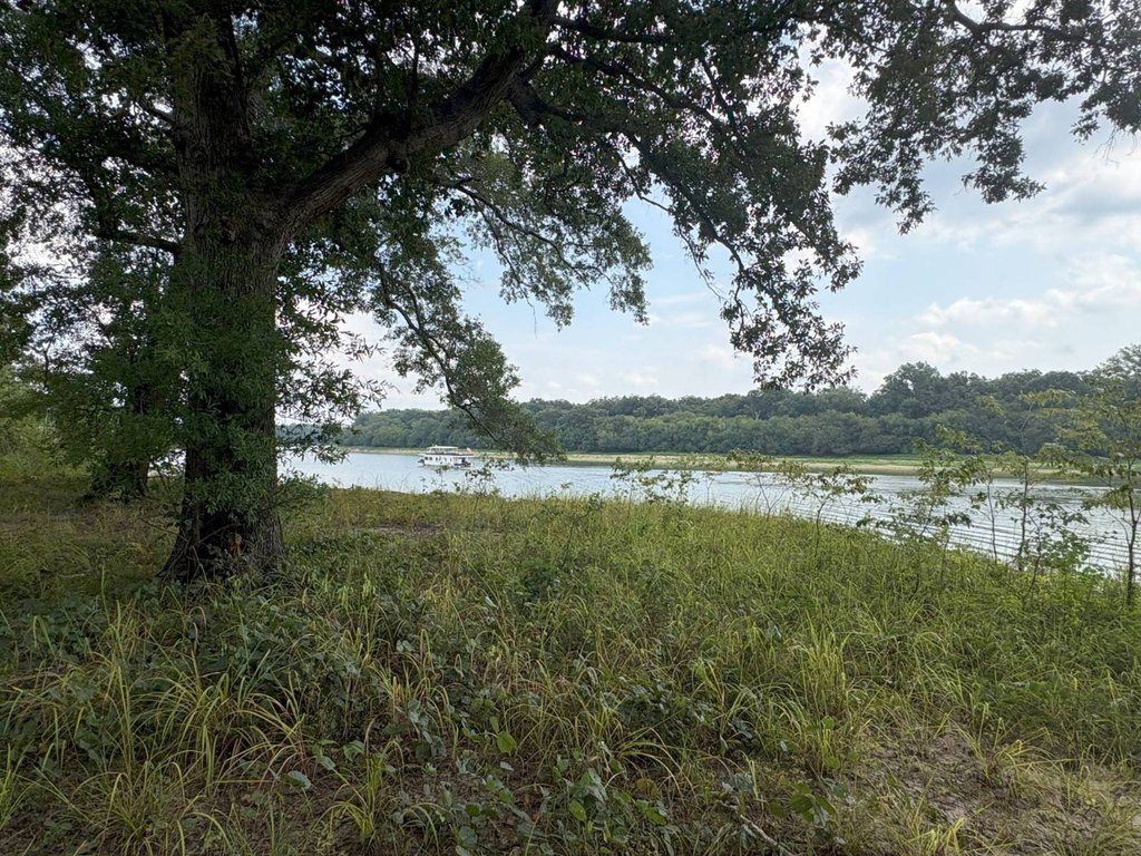 Picture 25