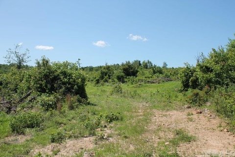 Unrestricted Acreage on Highway 27