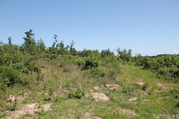 Picture 3