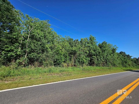 Foley Land with Oak Trees