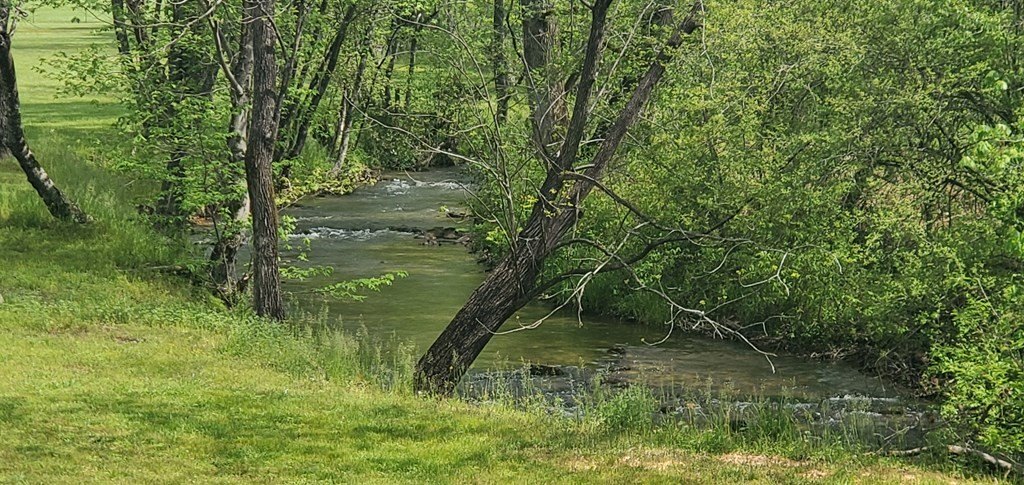 Picture 13