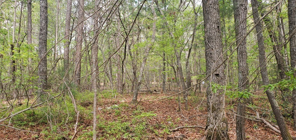 Picture 23