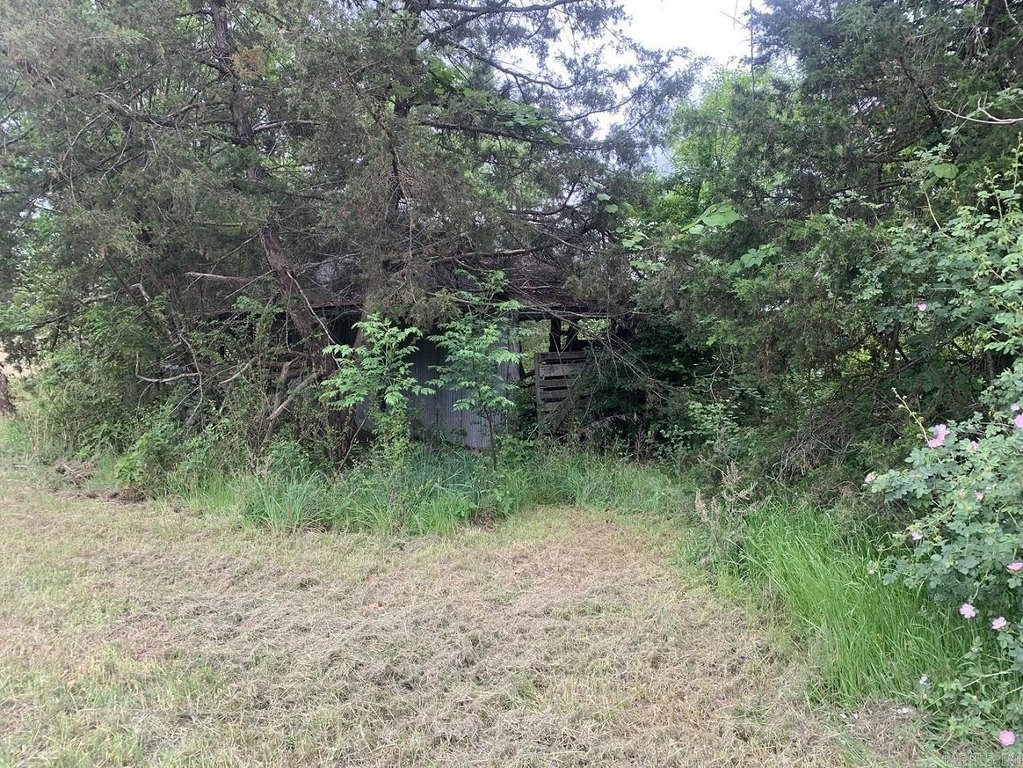 Picture 24