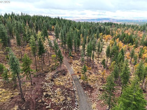 Land, Goldendale, WA