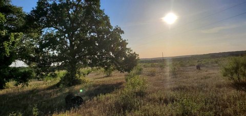 Chico, TX