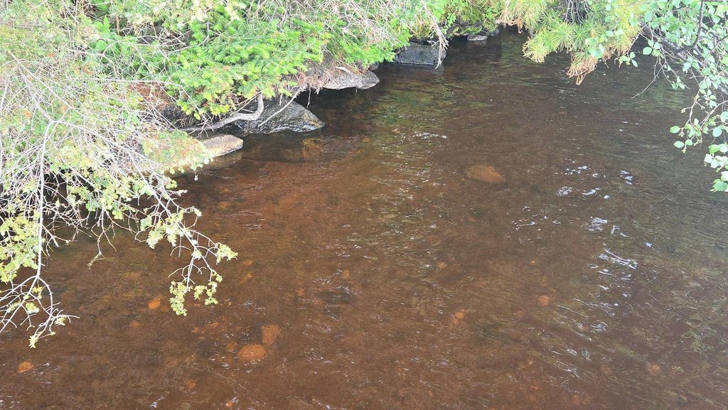 Picture 25