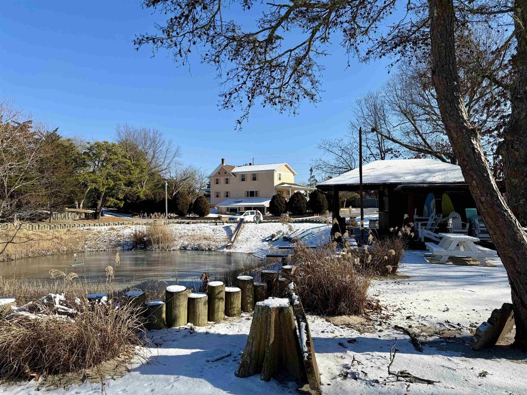 Picture 13