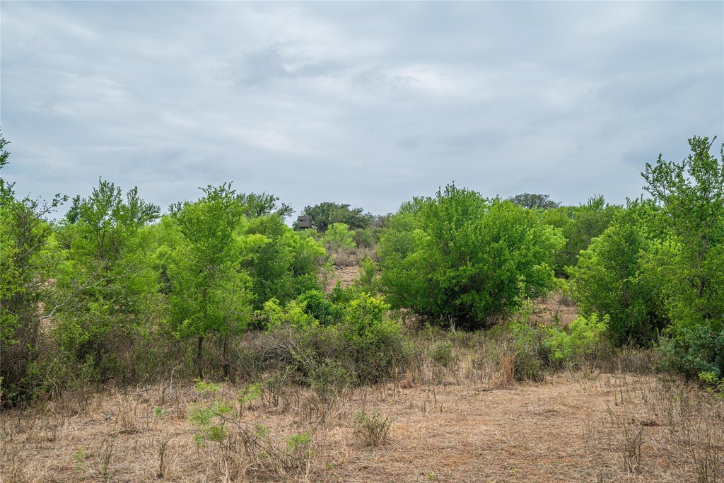 Picture 22
