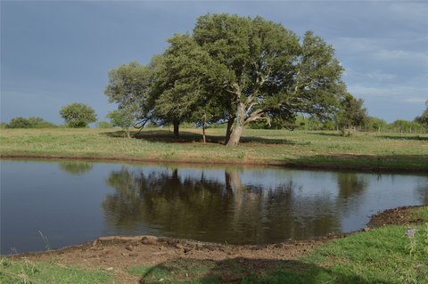 Hill Country Ranch for Sale