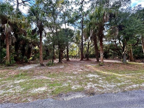 Land, Crystal River, FL