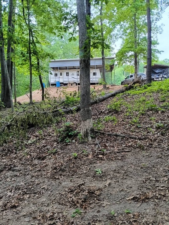 Picture 6