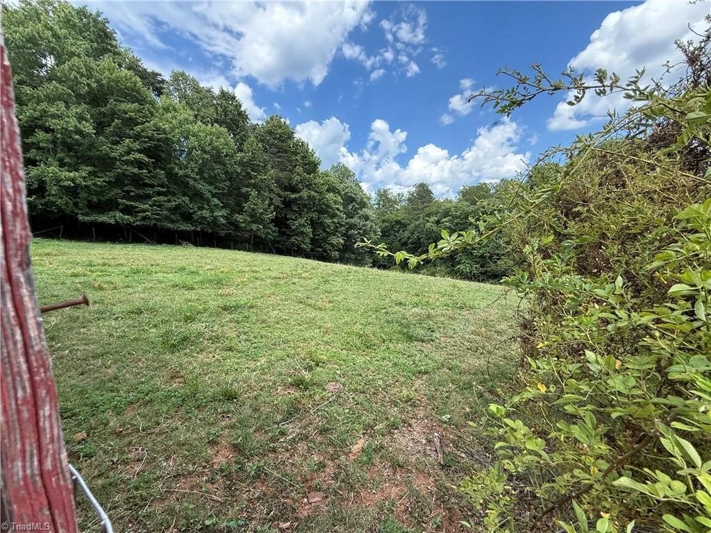 Picture 17