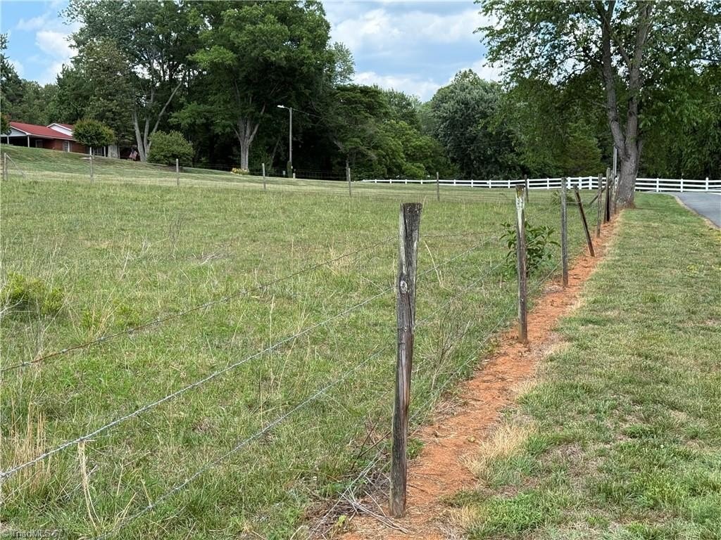 Picture 11