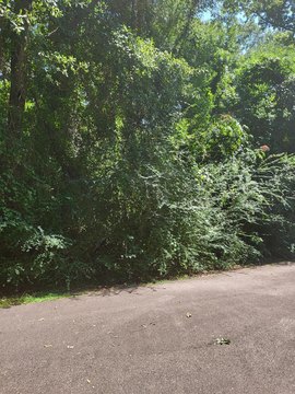 Residential Land in Gated Community