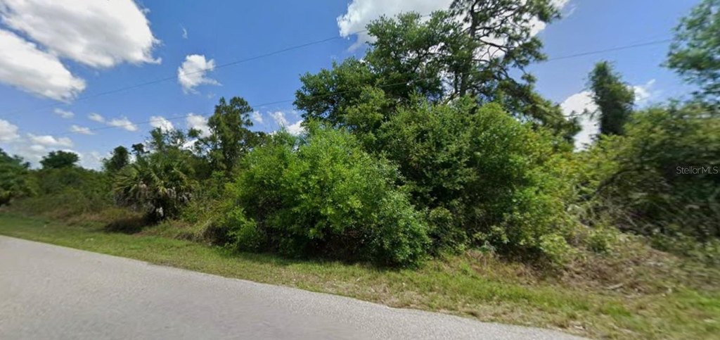 Picture 5