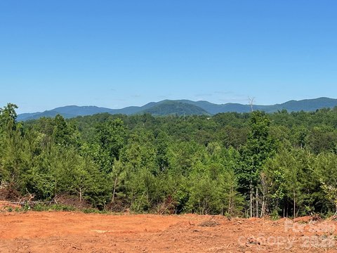 LAND - Nebo, NC