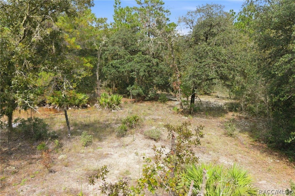 Picture 18