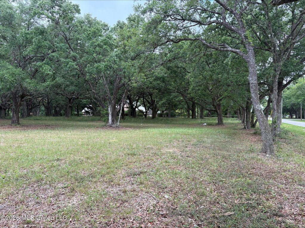 Picture 5