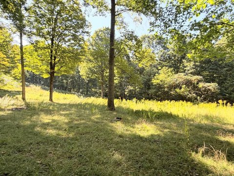 Land, SANDSTONE, WV