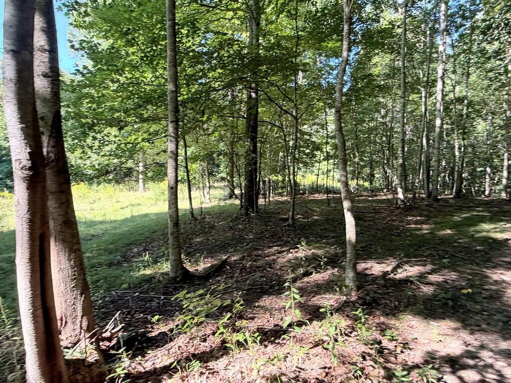 Picture 15