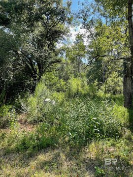 Single-Family Building Lot