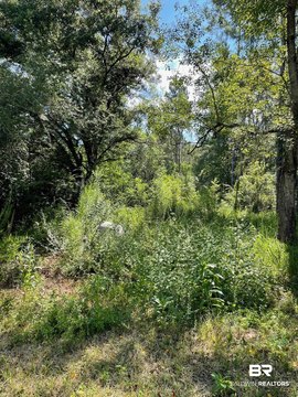 Single-Family Building Lot