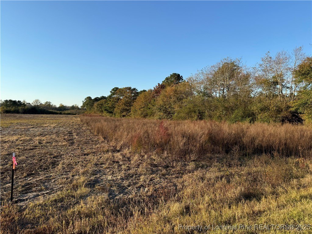 Large Acreage in Wade, NC