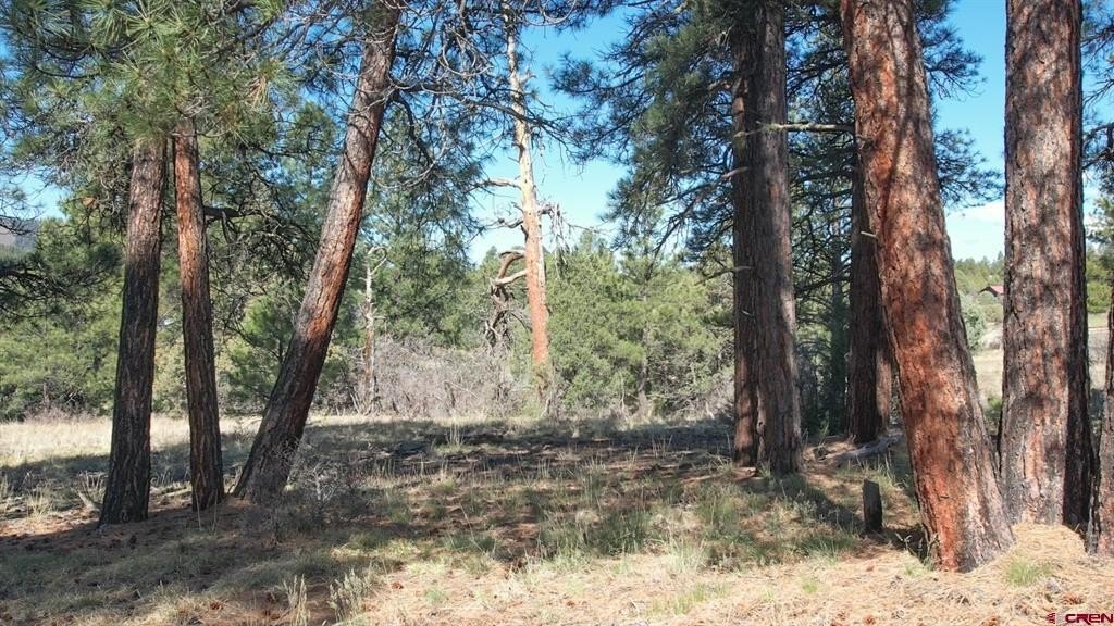 Land in Pagosa Springs, CO