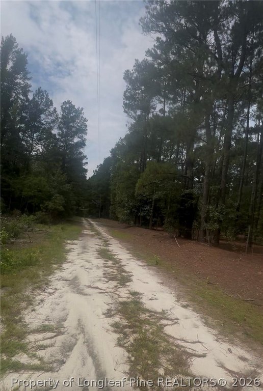 Picture 3