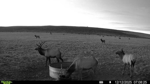 1040 Acres Hunting Land Opportunity