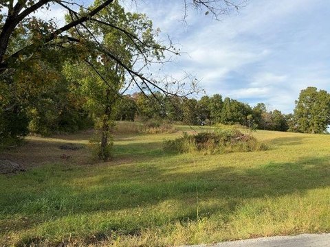 Lots and Land, Morgantown, KY