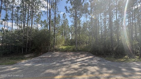 Land, Saucier, MS