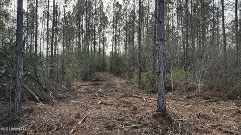 Land, Saucier, MS