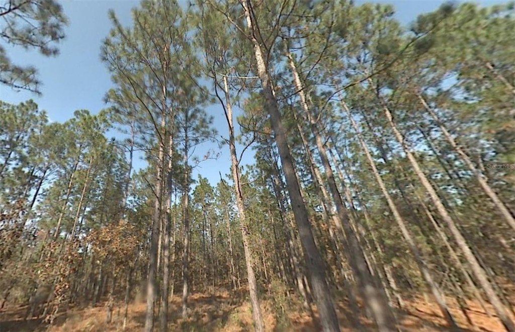 Picture 3