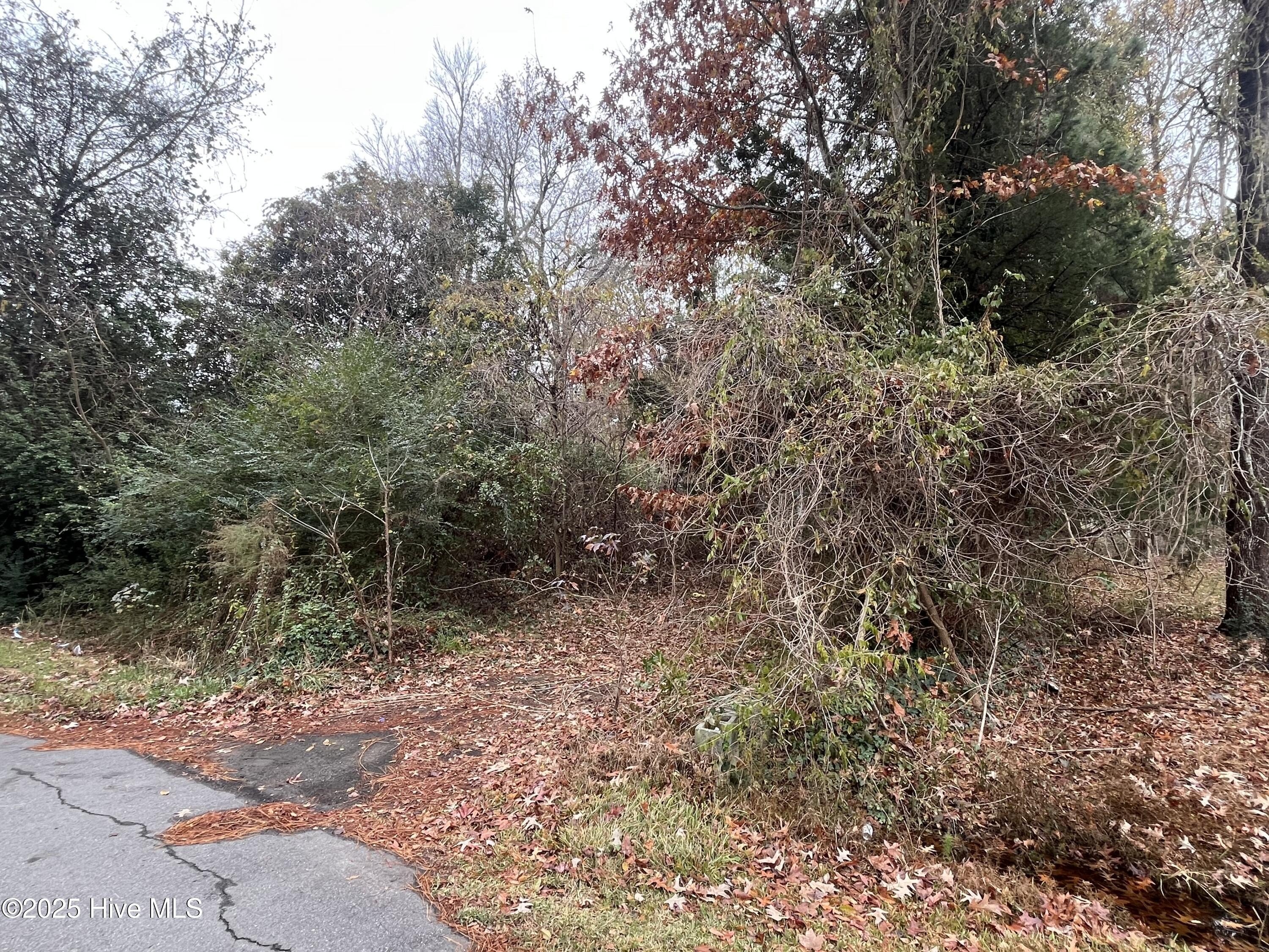 Waterfront Land Near Historic Edenton