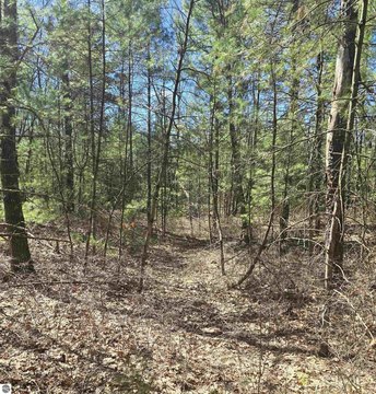 LAND - Oscoda, MI