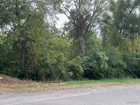 Residential Lots in Vandalia, IL