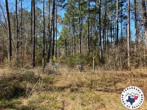 Linden, TX Timberland Recreational Tract