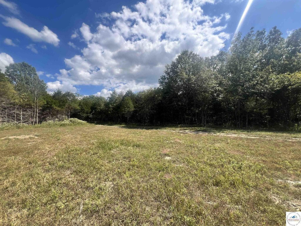 Picture 19
