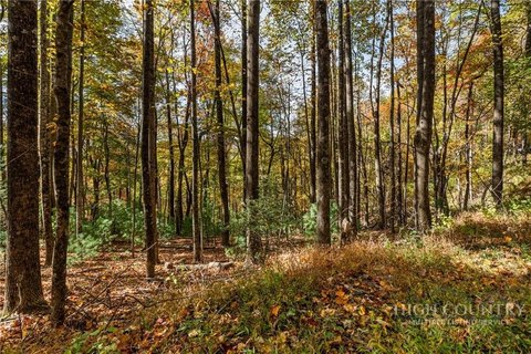 Buildable Lot Near Blue Ridge