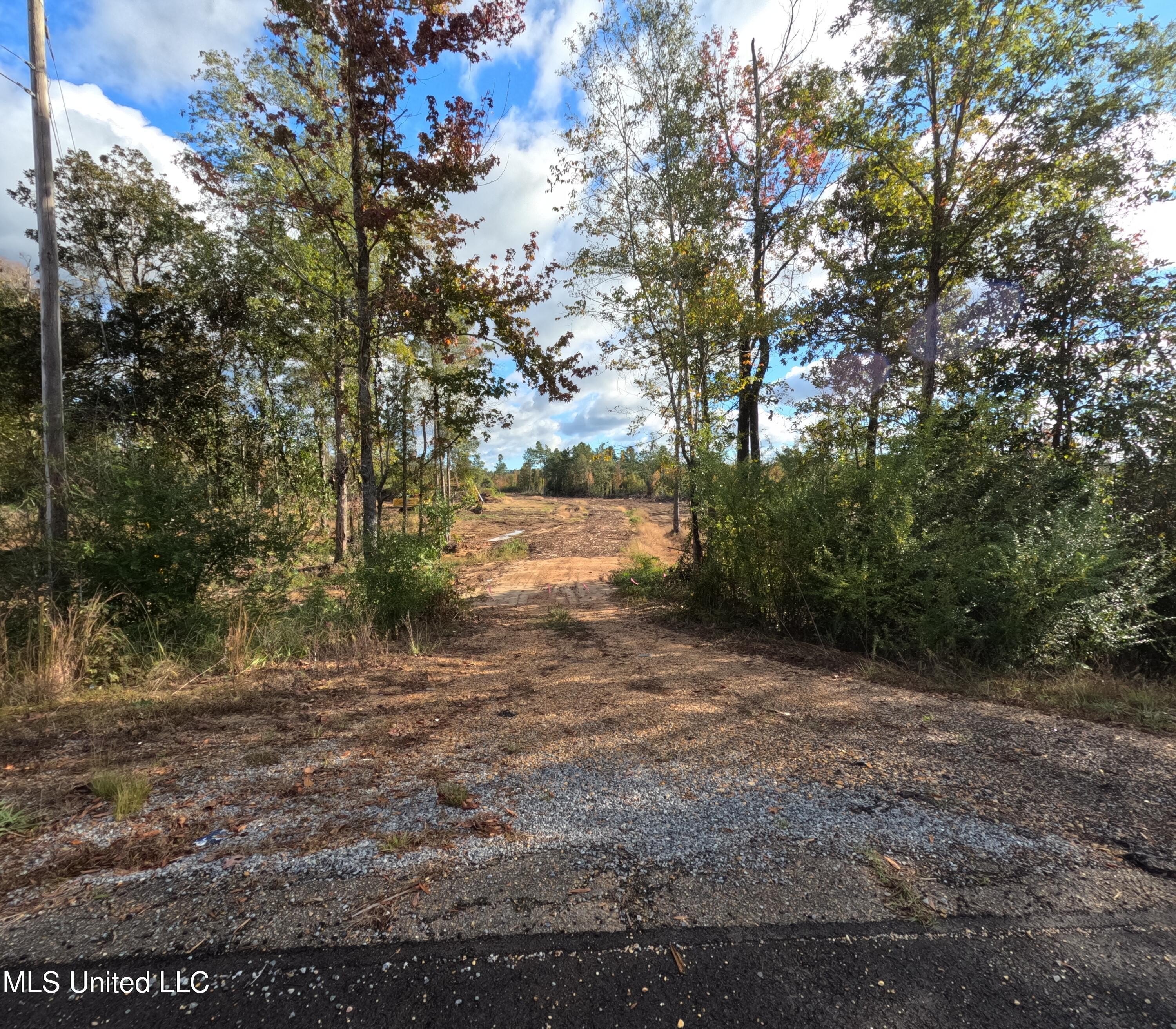 Collins MS Hunting and Agricultural Land