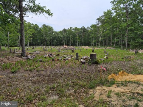 LAND - MAYS LANDING, NJ