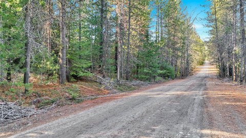 Treed Land Parcel Near Newport