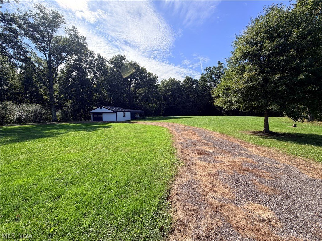 Picture 12