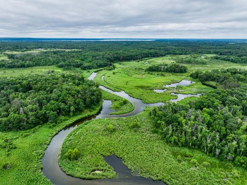 Wooded Lot on Gull River