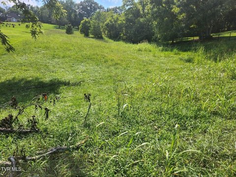 Land in Growing Unicoi Area