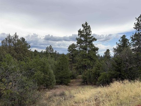 Pagosa Springs Residential Land