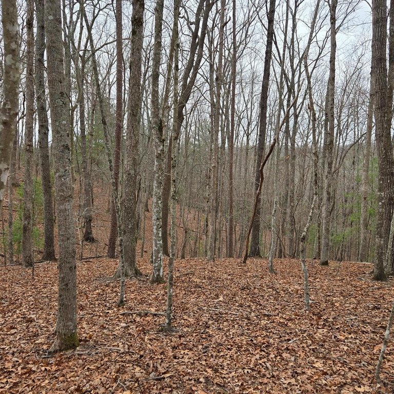 Picture 24
