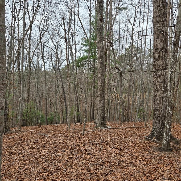 Picture 23